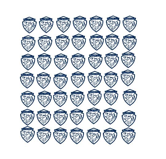 Custom DTF Transfer Sheet – 22" x 24"