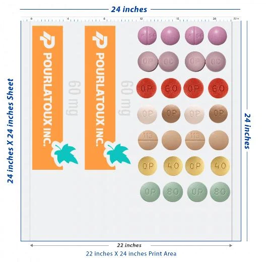 Custom DTF Transfer Sheet – 22" x 24"