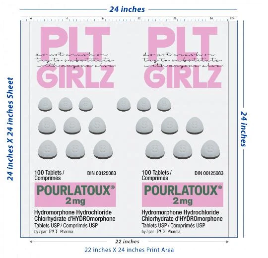 Premium DTF Transfer Sheet – 22" x 24"
